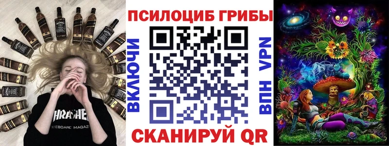 kraken ТОР  Севастополь  даркнет официальный сайт  Псилоцибиновые грибы Psilocybine cubensis 